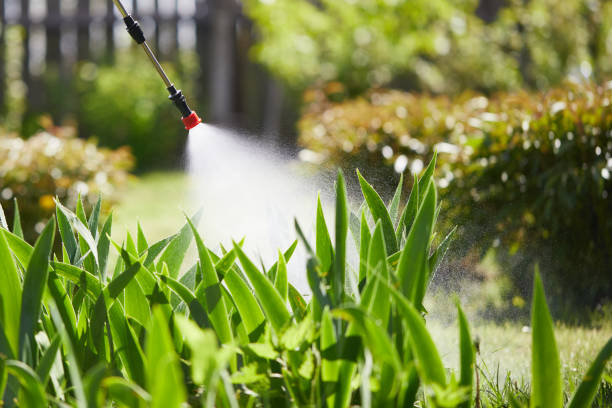 24/7 Emergency Wasp Removal experts in Woodhaven, MI