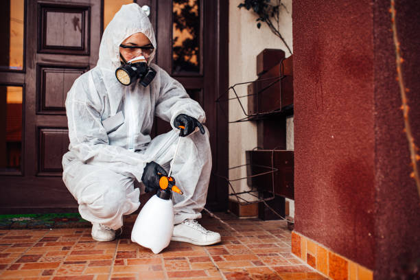 Reliable Wasp Removal contractor in Woodhaven, MI by Show Me Pest Control