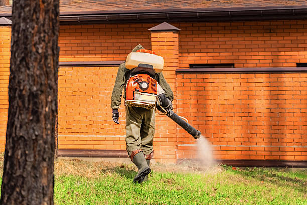 Top rated local Wasp Removal specialists in Woodhaven, MI